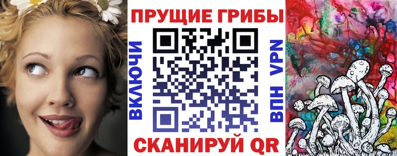 Галлюциногенные грибы ЛСД ОМГ ОМГ tor площадка состав Змеиногорск