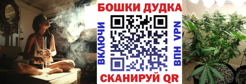 Шишки марихуана сатива  МЕГА ССЫЛКА  Змеиногорск  где можно купить  